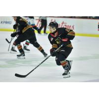 Vancouver Giants forward Cameron Schmidt