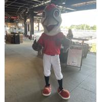 Fayetteville Woodpeckers mascot Bunker