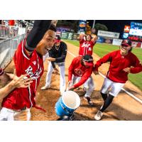 Fargo-Moorhead RedHawks celebrate win