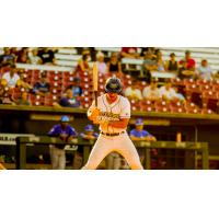 Fond du Lac Dock Spiders' Drew Barragan at bat