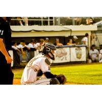 Fond du Lac Dock Spiders' Tyler Stack on game night