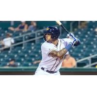 Montgomery Biscuits' Xavier Isaac at bat