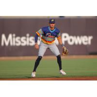 Montgomery Biscuits on game night