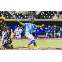 Charleston RiverDogs at bat