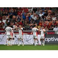 San Jose Earthquakes celebrate win