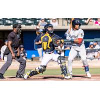 Charleston RiverDogs catcher J.D. Gonzalez