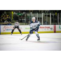 Maine Mariners defenseman Alex Sheehy