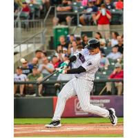 Somerset Patriots' Anthony Rizzo at bat