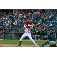 Evan Alexander at bat for the Winnipeg Goldeyes