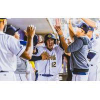 Charleston RiverDogs' Enderson Delgado celebrates win