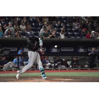 Pensacola Blue Wahoos at bat