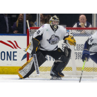 Jacksonville Icemen goaltender Matt Vernon