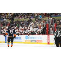 Tucson Roadrunners' bench celebrates