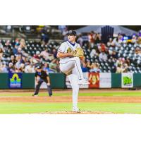 Charleston RiverDogs on the mound