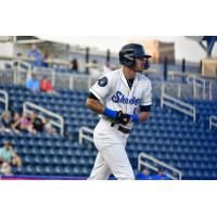 Lamar Sparks of the Biloxi Shuckers