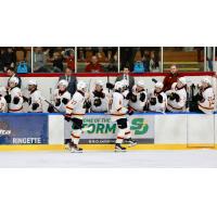 Vancouver Giants centres Kyren Gronick (27) and Aaron Obobaifo along the bench