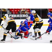 Kitchener Rangers goaltender Jackson Parsons vs. the Brantford Bulldogs