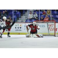 Vancouver Giants goaltender Brett Mirwald