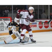 Peterborough Petes centre Chase Lefebvre