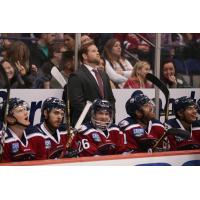 Coach Ryan Warsofsky with the South Carolina Stingrays