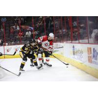 Wheeling Nailers forward Kyle Jackson (left) vs. the Cincinnati Cyclones