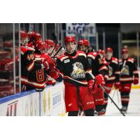 Grand Rapids Griffins on game night