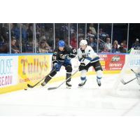 Syracuse Crunch battle the Cleveland Monsters