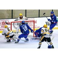 Wheeling Nailers battle the Trois-Rivieres Lions