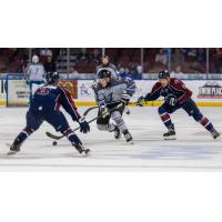 Wichita Thunder forward Luke Grainger handles the puck against the Tulsa Oilers