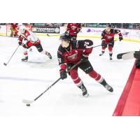 Vancouver Giants right wing Connor Levis