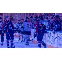 Wichita Thunder exchange fist bumps along the bench vs. the Tulsa Oilers