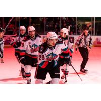 Hiroki Gojsic of the Kelowna Rockets leads the charge