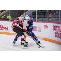 Belleville Senators right wing Xavier Bourgault vs. the Syracuse Crunch