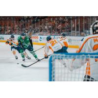 Florida Everblades forward Colin Theisen with the puck vs. the Greenville Swamp Rabbits