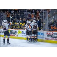 Lehigh Valley Phantoms celebrate a goal