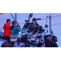 Wichita Thunder celebrate a goal along the boards