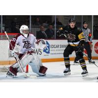 Peterborough Petes goaltender Easton Rye vs. the Brantford Bulldogs