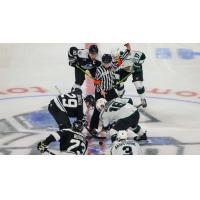 Wichita Thunder face off with the Utah Grizzlies