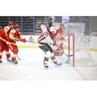 Tucson Roadrunners' Josh Doan in action