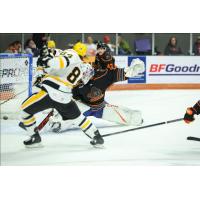 Wheeling Nailers' Atley Calvert in action