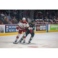 Grand Rapids Griffins defenseman William Lagesson (left) vs. the Iowa Wild