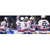 Rochester Americans celebrate a goal