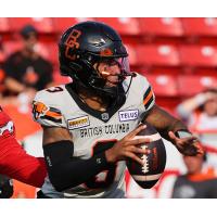 Quarterback Vernon Adams Jr. with the BC Lions