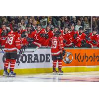 Cameron Schmidt receives high fives from the bench