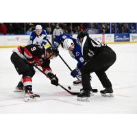 Belleville Senators left wing Angus Crookshank on the faceoff