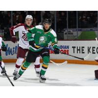 Peterborough Petes defenceman Grayden Strohack (left) vs. the London Knights