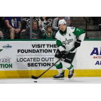 Texas Stars defenseman Alexander Petrovic