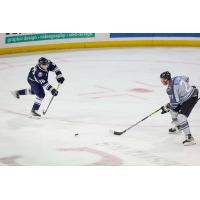 Worcester Railers' Jordan Kaplan versus Wichita Thunder's Jay Dickman