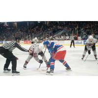 Kitchener Rangers face off with the Guelph Storm