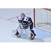 South Carolina Stingrays goaltender Garin Bjorklund